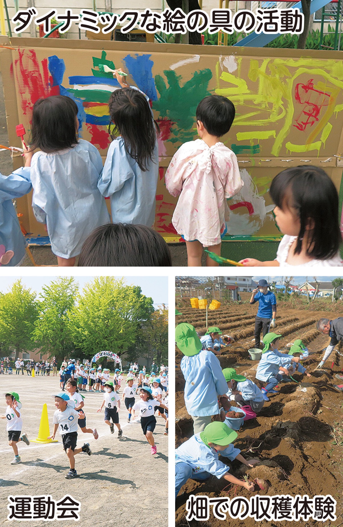 自由遊びで育む健全な心と体