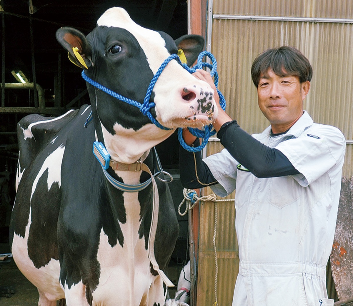 「乳牛のオリンピック」へ