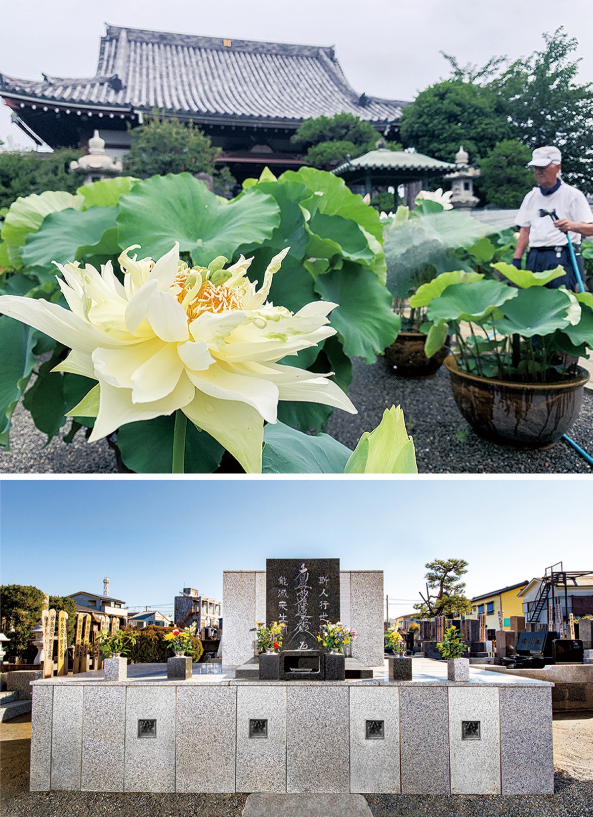 自由に自分の意思で