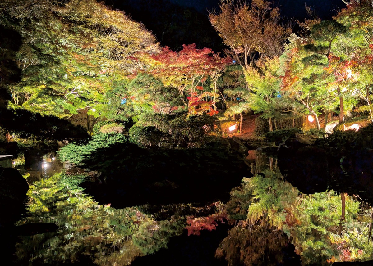 もみじのライトアップ