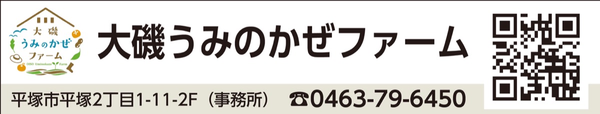 町の特産品「大磯の大玉柿」で地元の農業を盛り上げ (写真2)