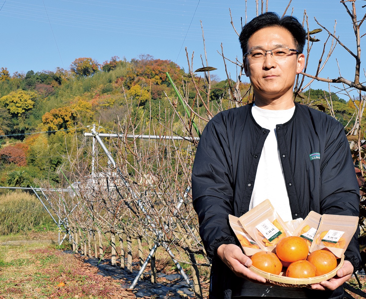 町の特産品「大磯の大玉柿」で地元の農業を盛り上げ
