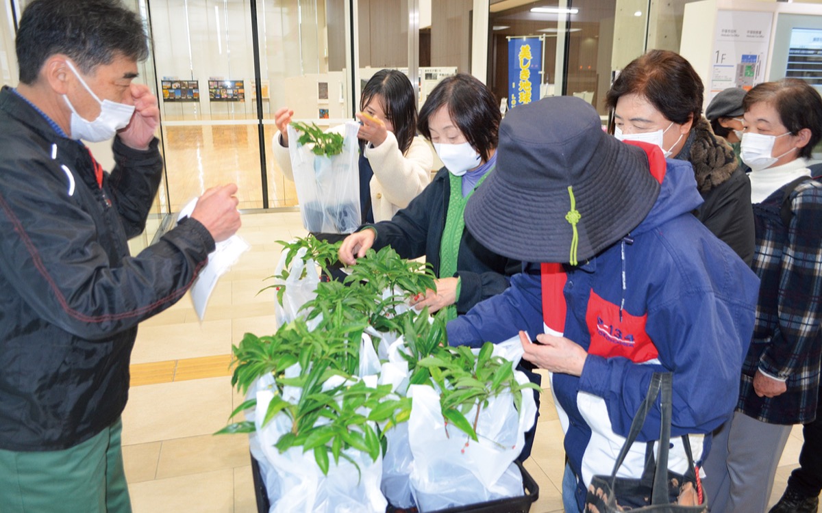 ｢万両と百両」に列