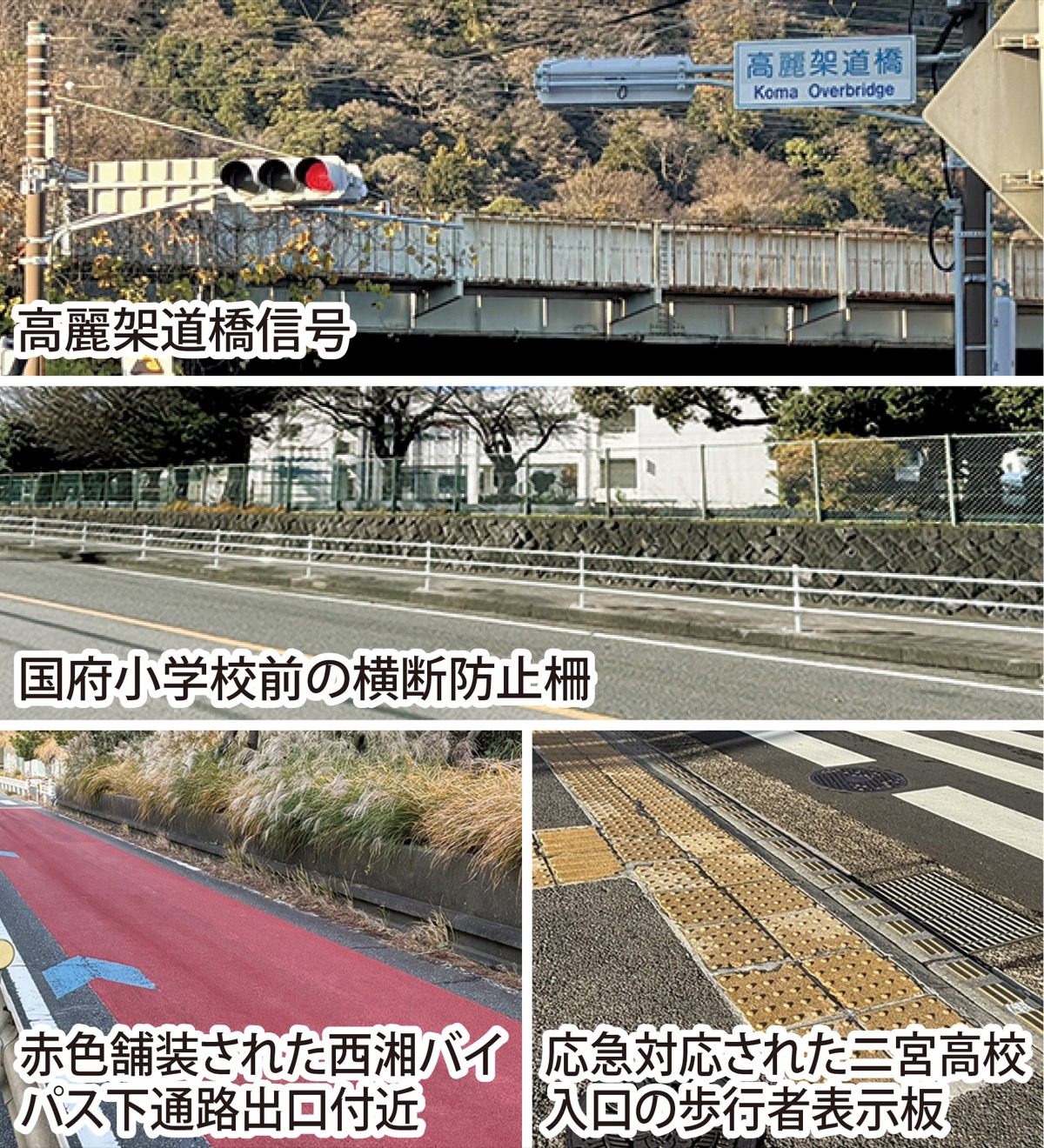 一人ひとりの声でつくる大磯・二宮の安全な道路