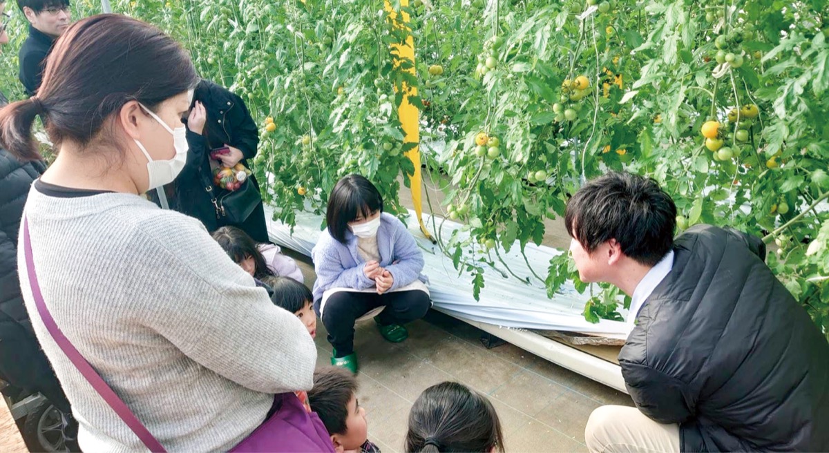 フィルムでトマト栽培