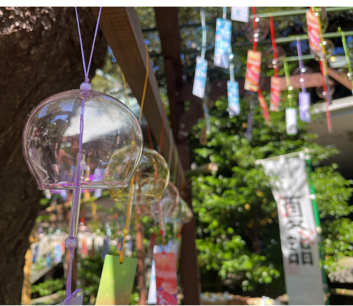 「夏詣」の一環で飾られた風鈴