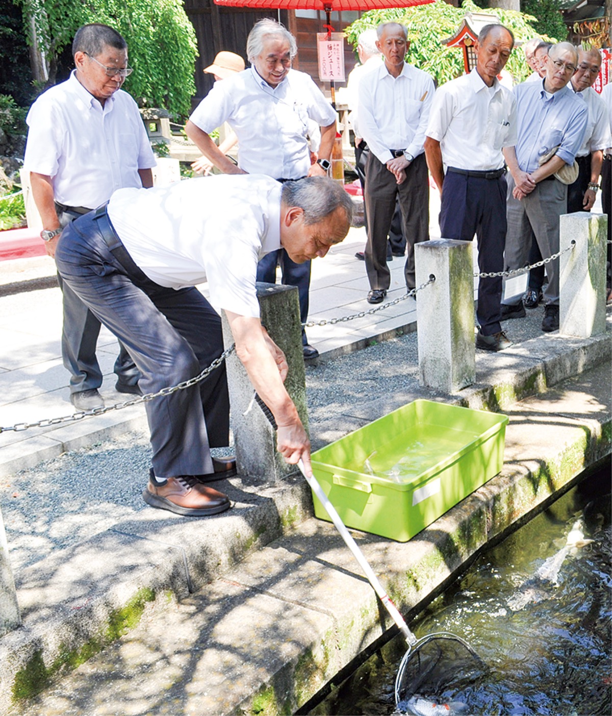 鯉を放す参列者ら