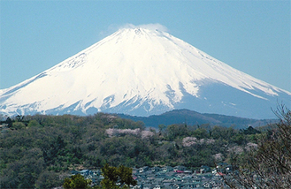 大磯城山公園からながめる富士山