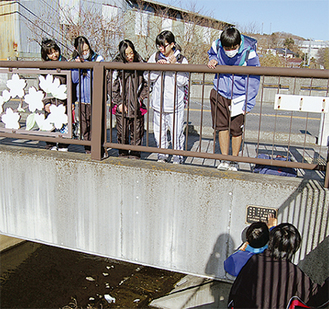 葛川に架かる橋を調べる生徒たち