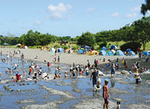 夏休み、子ども達の歓声につつまれる「水無川」