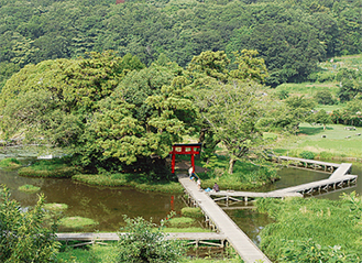 中井町の厳島湿生公園