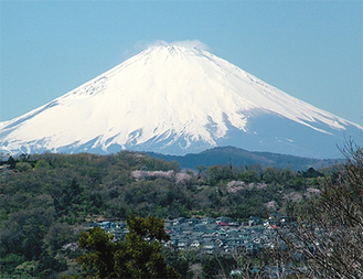 大磯城山公園からながめる富士山
