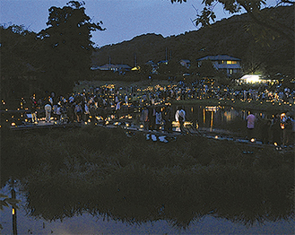 竹灯篭が並ぶ厳島湿生公園