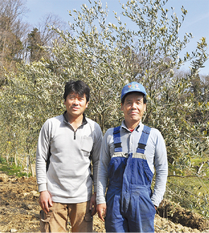 オリーブを栽培している濱田さん（左）と松木さん＝二宮町川匂のまつき農園
