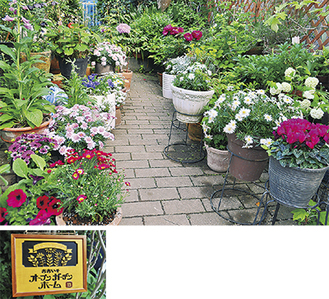家主が愛情を注いで育てた花いっぱいの庭が披露される（上）木製のプレートが目印（左）