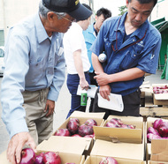 湘南レッド出荷へ