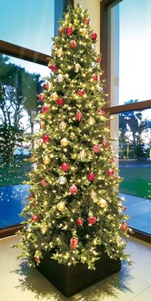 スパ棟に飾られたクリスマスツリー