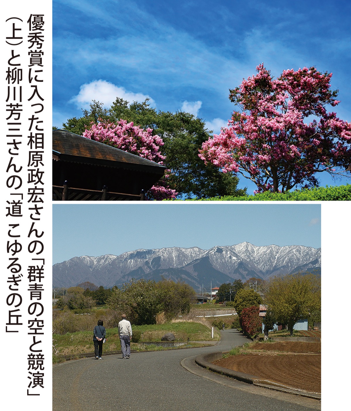 中井町の魅力に焦点 (写真2)