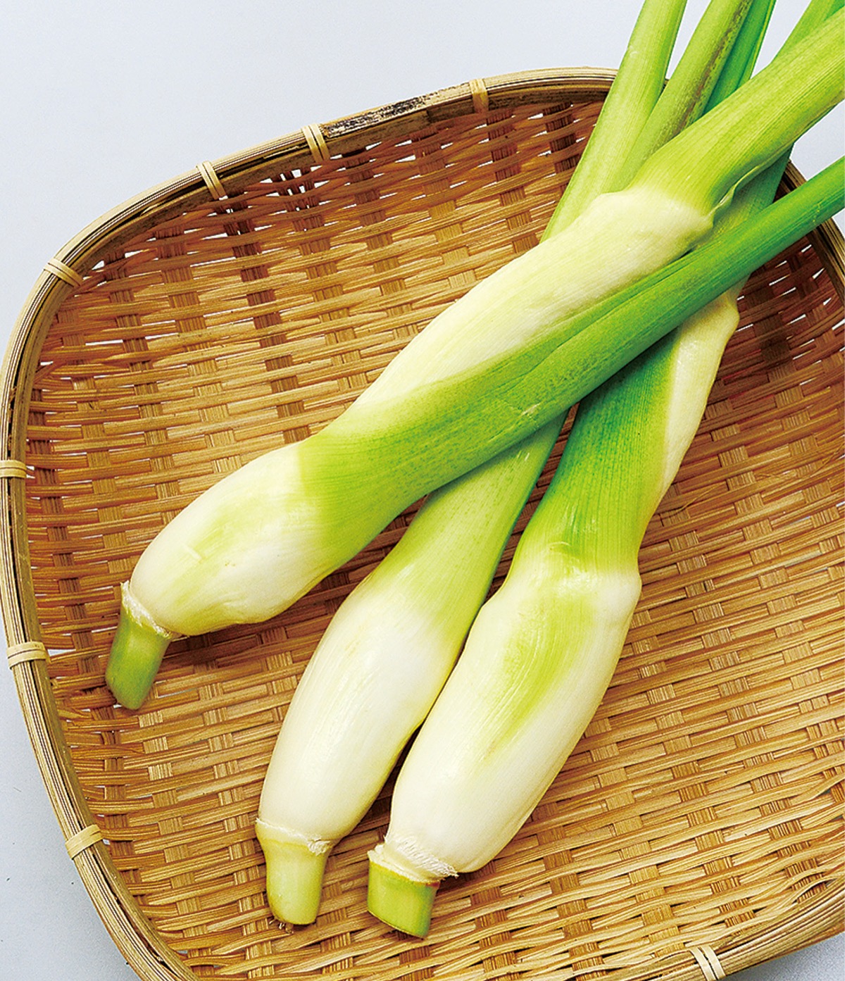 秋が旬の大磯産マコモタケ