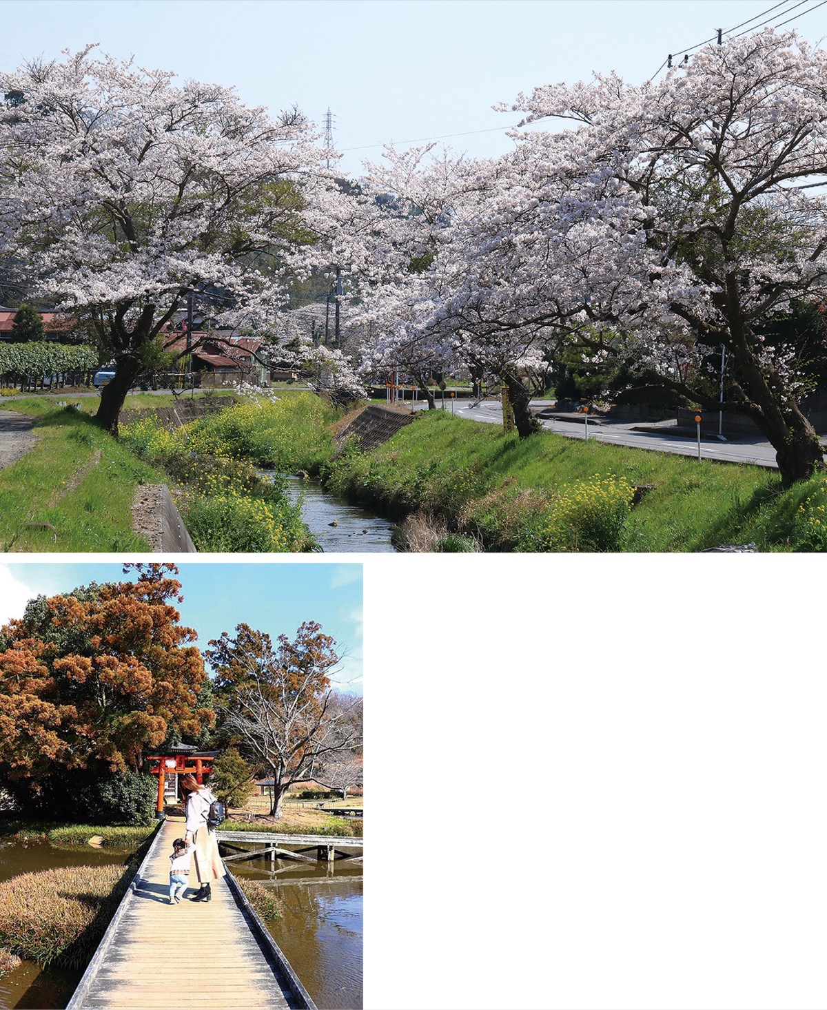 (上)一般部門最優秀賞・石井良二さんの「春の河」。(左)インスタグラム部門同賞のyzmmluvluvさんの作品