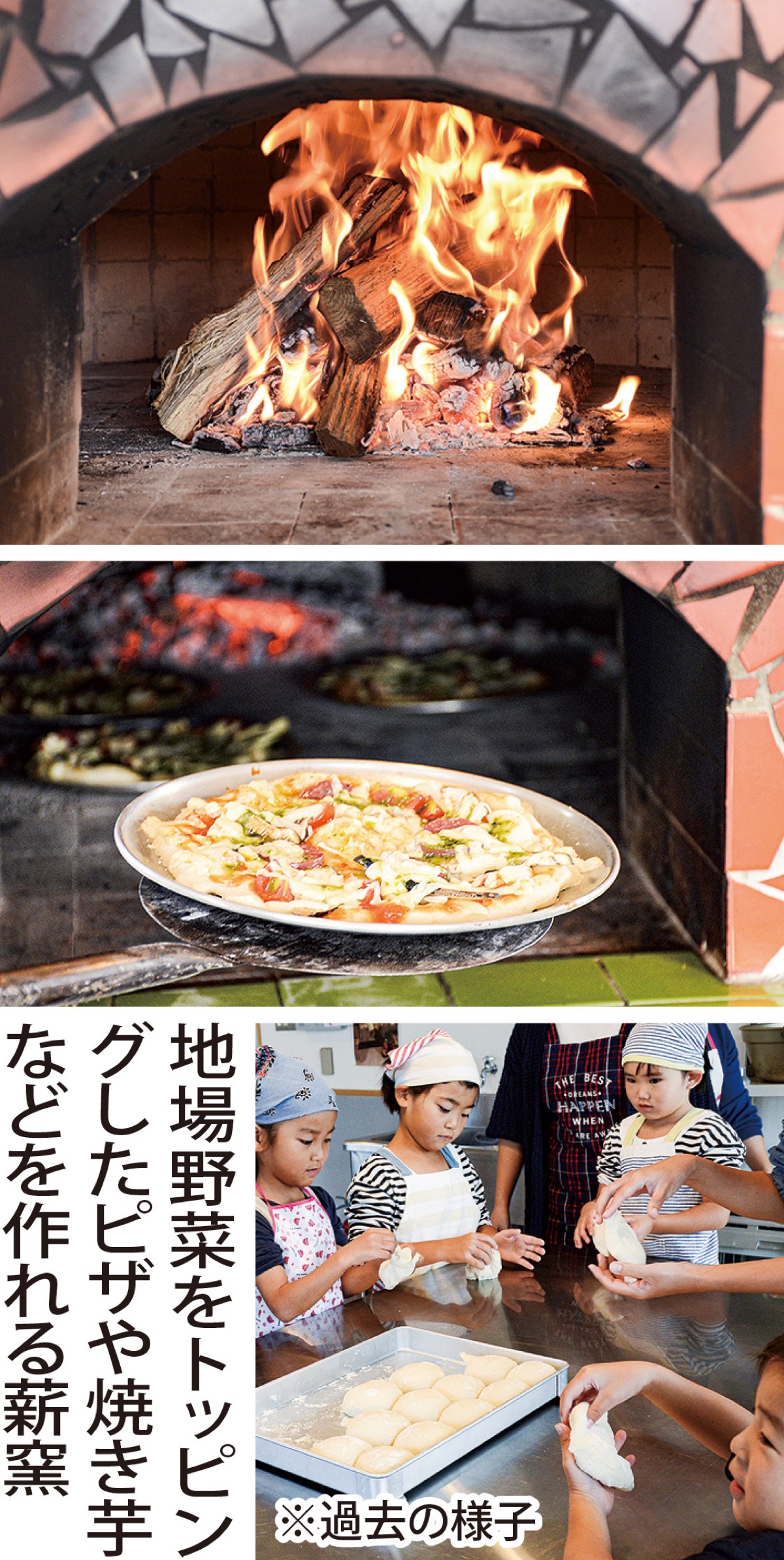 焼き芋 釜 薪釜 窯 薪窯