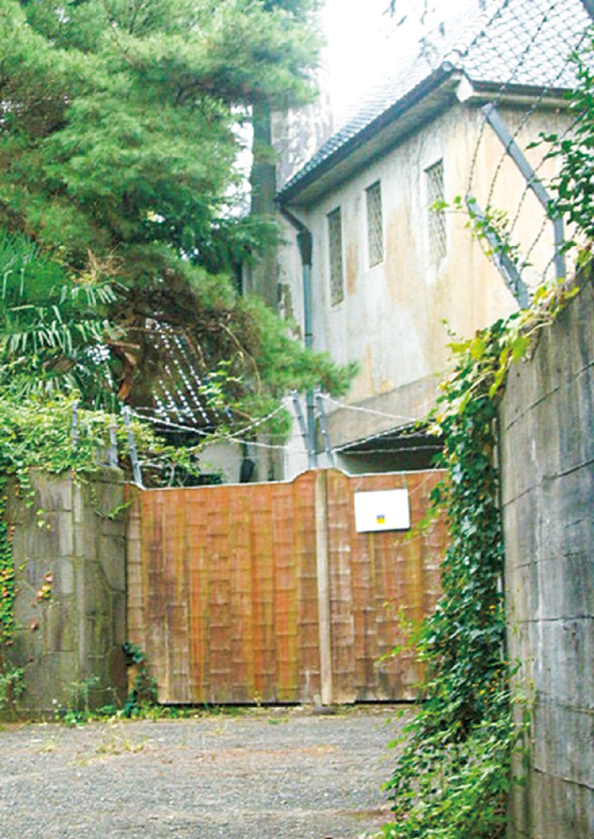 大磯歴史語り〈財閥編〉