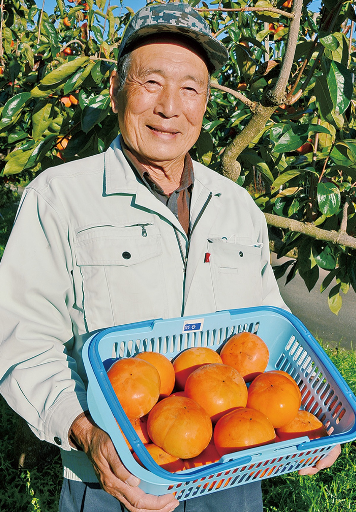 仕上がり上々 旬の味覚