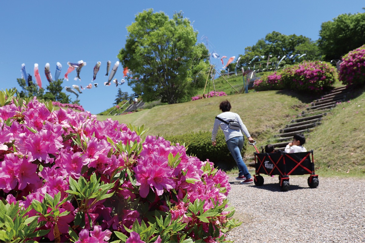 インスタグラム部門最優秀賞 yzmmluvluvさんの作品