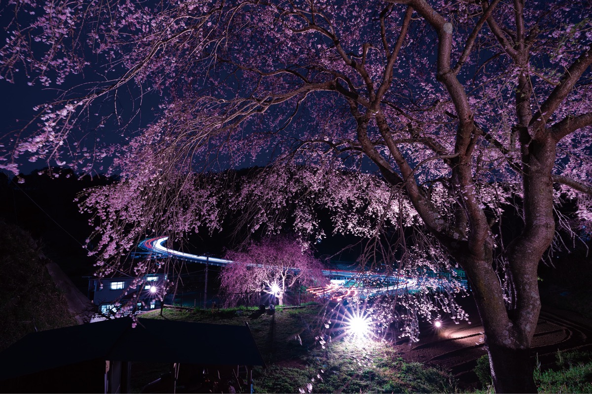 一般部門最優秀賞 加藤庸介さんの作品「花明かり」