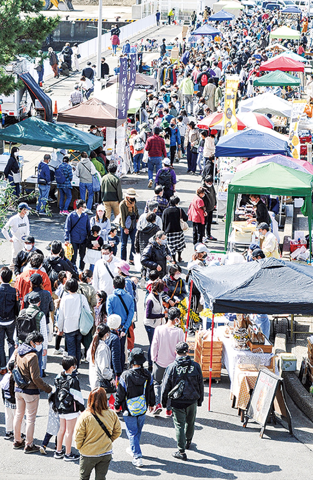 ２年ぶり 港に活気