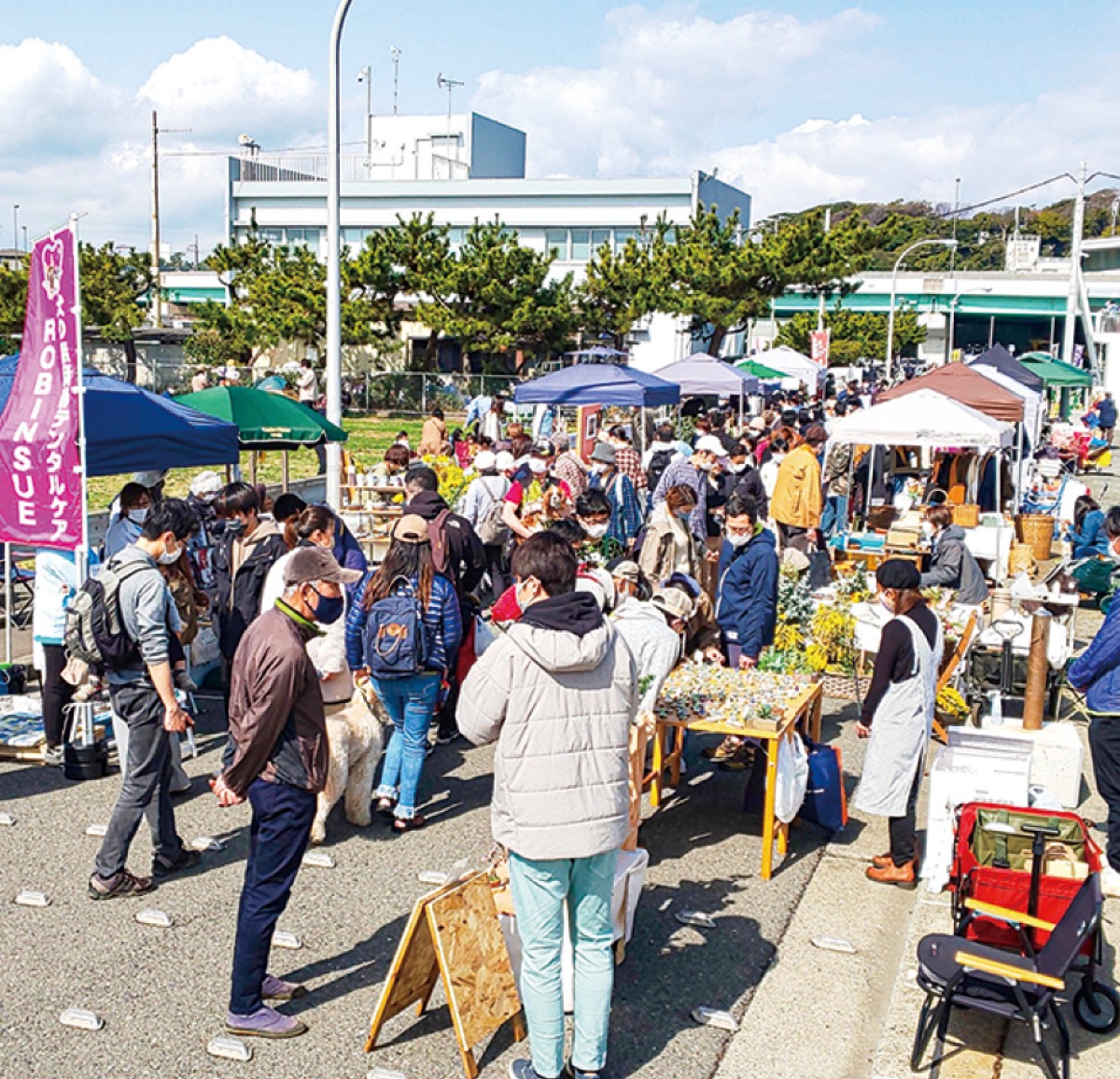 大磯市で港に活気