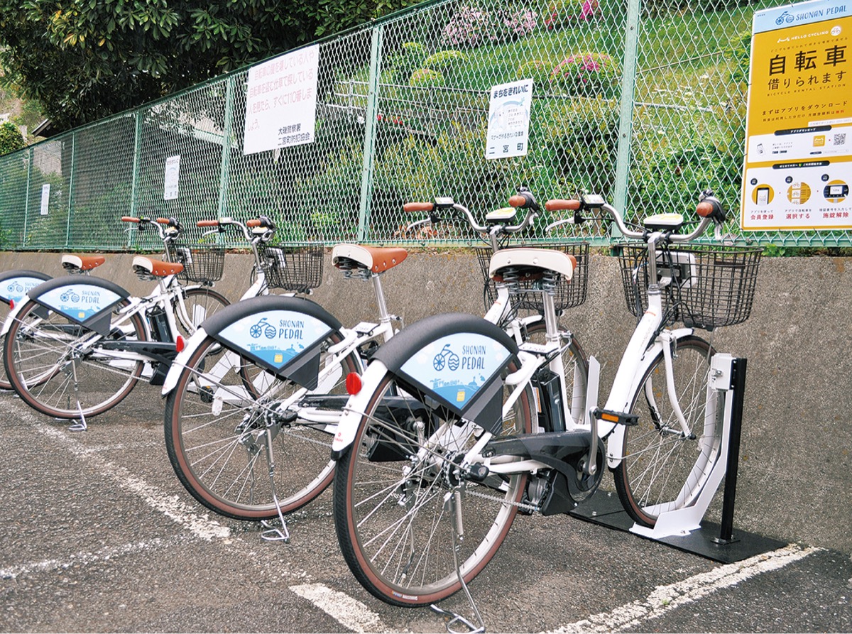 周遊観光の移動も楽しく