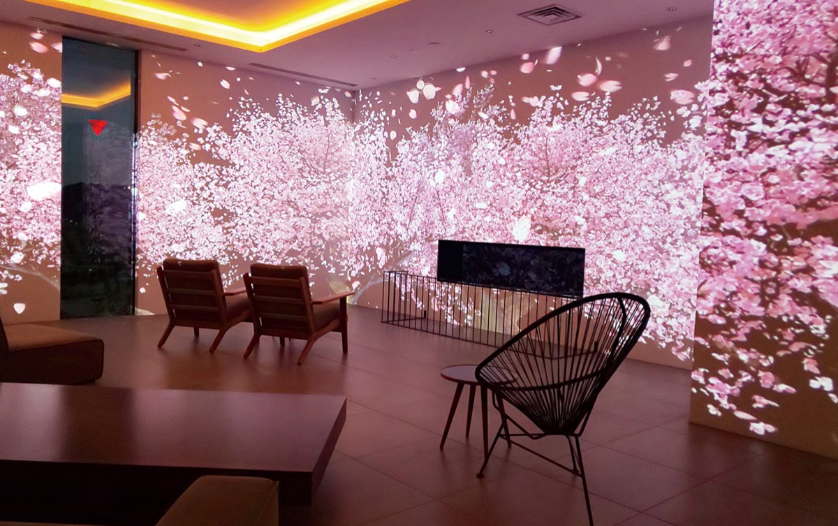 ひと足早く お花見気分