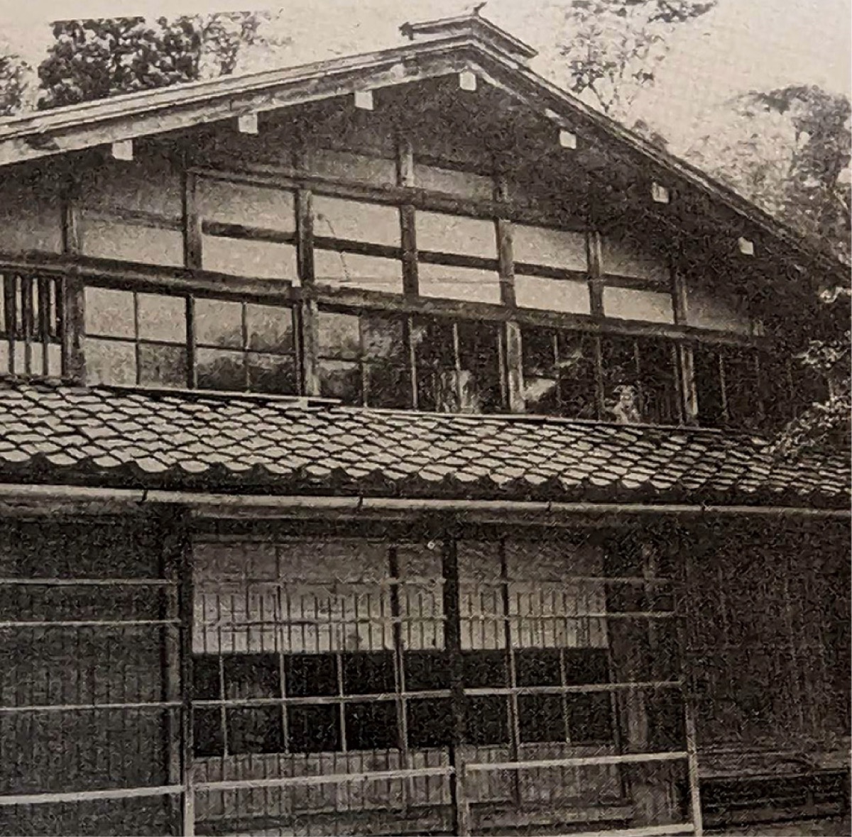 大磯歴史語り〈財閥編〉