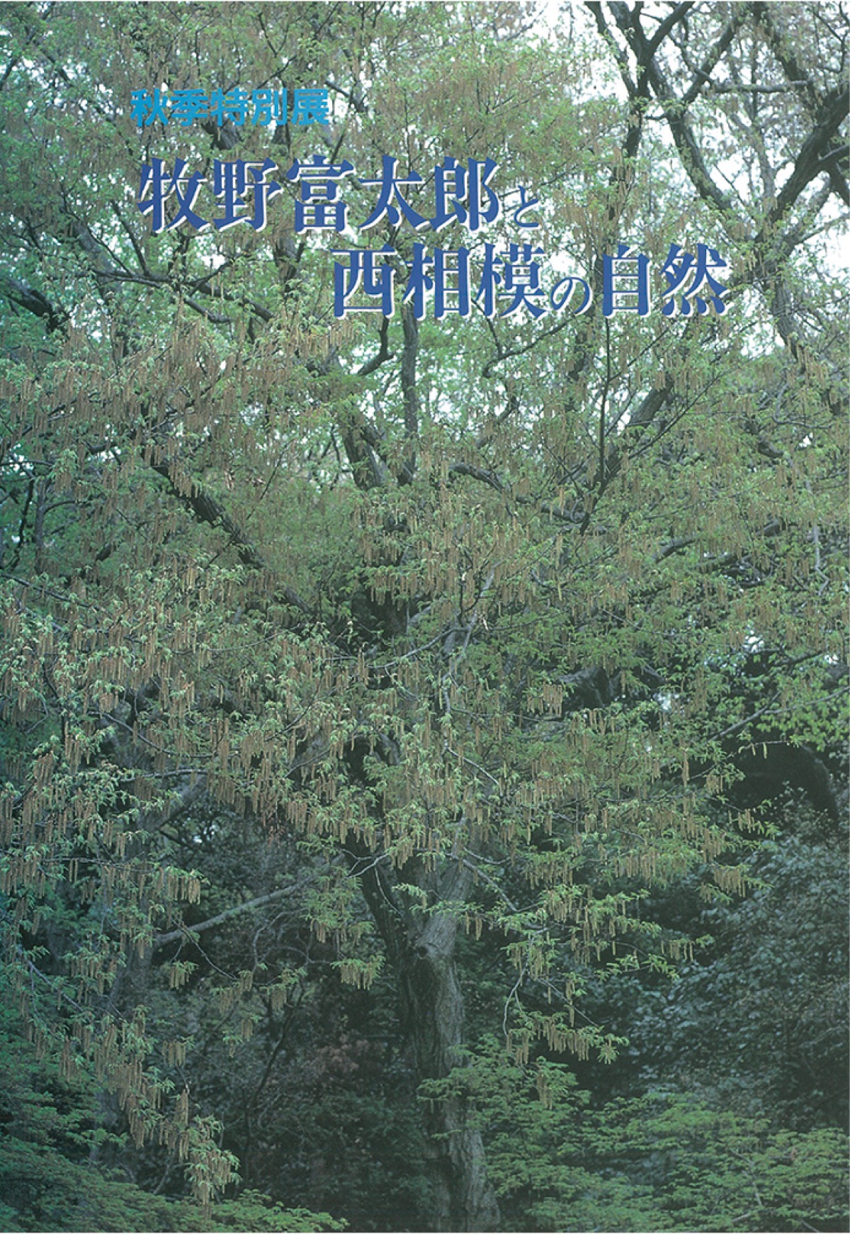 牧野富太郎の活動を本に