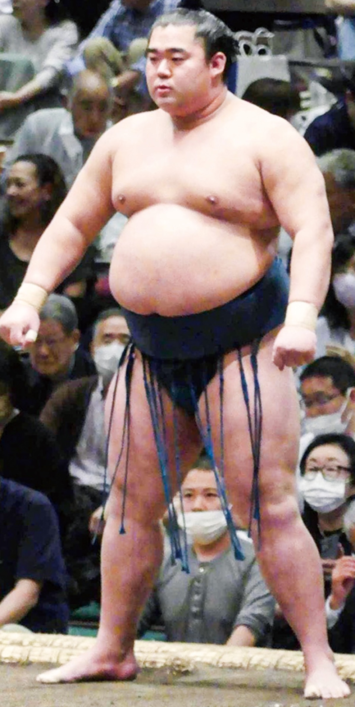 名古屋場所で新入幕