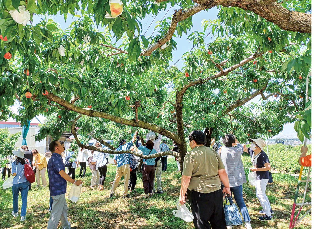 ４年ぶりにバスツアー