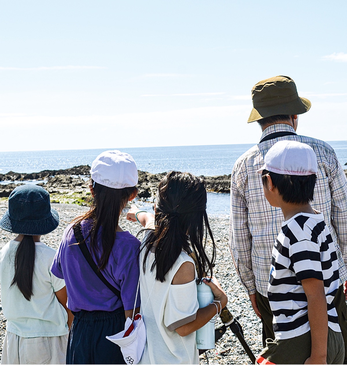 アオバトに興味津々