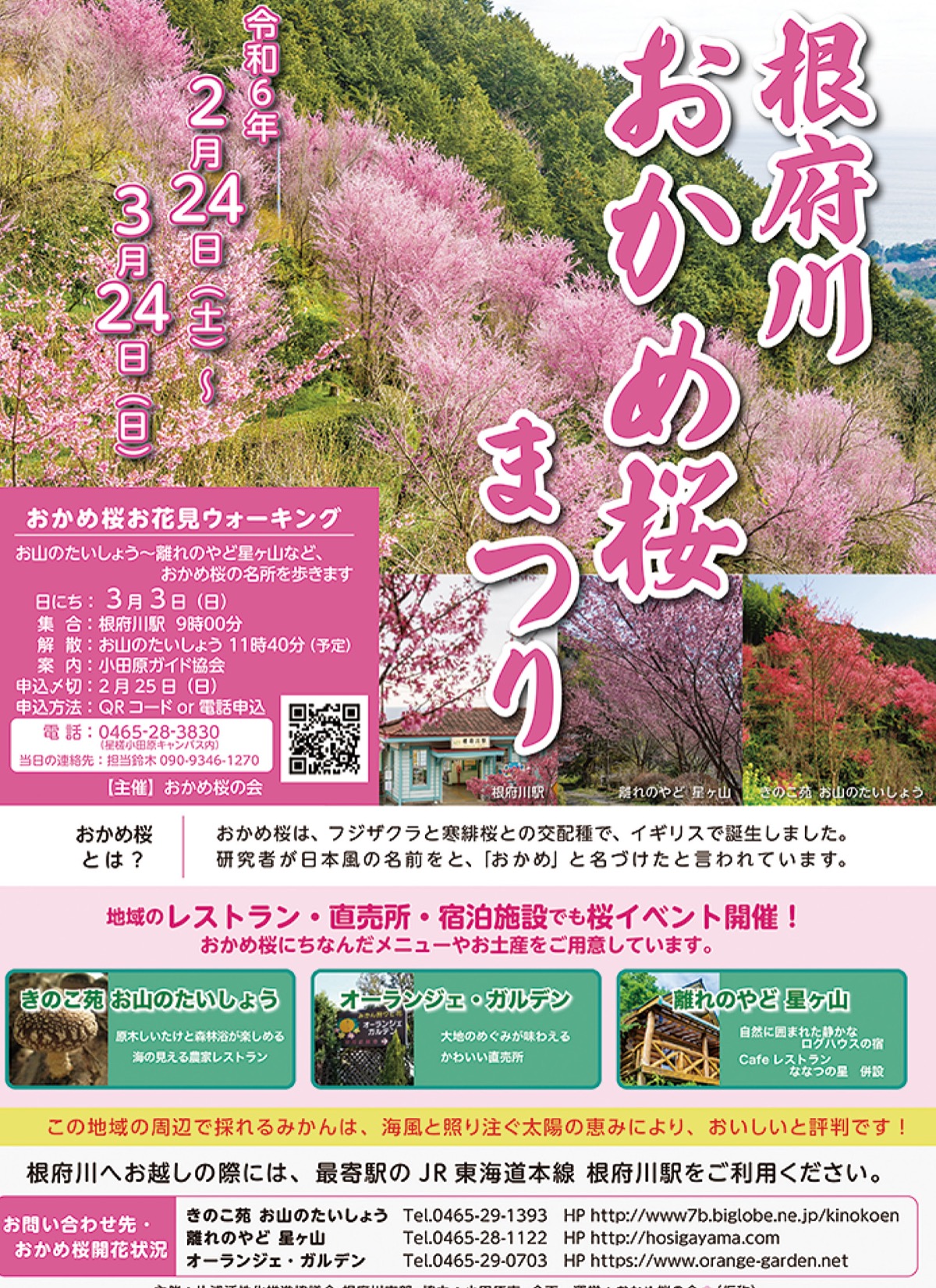 地域の有志で新たな試み