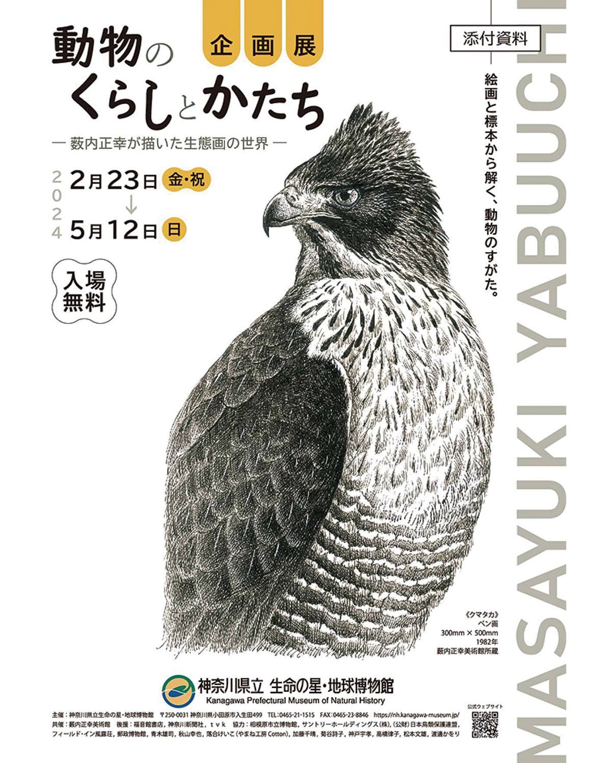 動物生態画の企画展