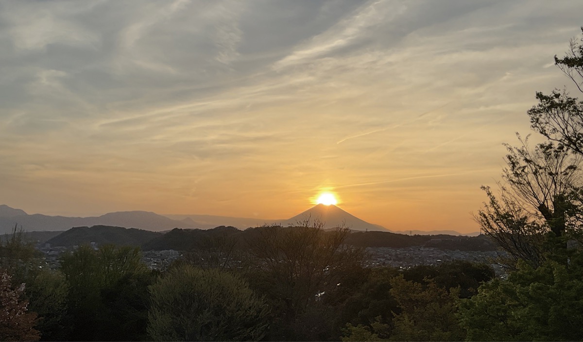条件揃い、きらり