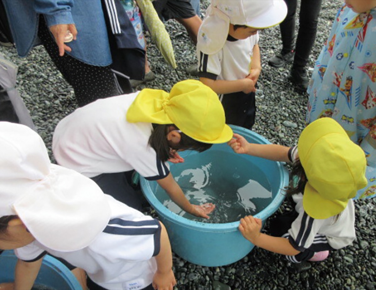 地引網で魚観察