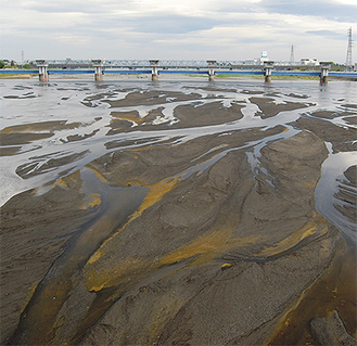 飯泉橋から見た取水ぜきには大量の土砂が（5月10日撮影）