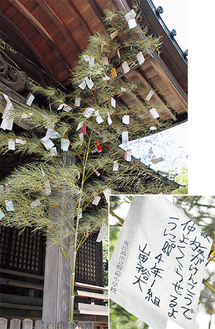 児童らの願いが込められた短冊（右）が大稲荷神社の社殿前に飾られた