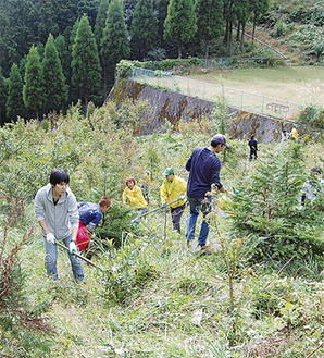 約100人の職員が塔ノ峰青少年の家付近の下草刈りを行った