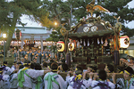 熱気冷めやらぬ宮入り　パレードにも参加した松原神社の例大祭が５日まで行われた。最終日の夕方には神社神輿に続き、龍宮神社や町内神輿が次々と宮入りし、例大祭を締めくくった。