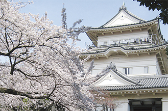 小田原城は年間40万人以上が来城する小田原最大の観光スポット
