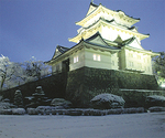 雪化粧した小田原城の姿。今年の冬は姿を隠す（元日撮影）