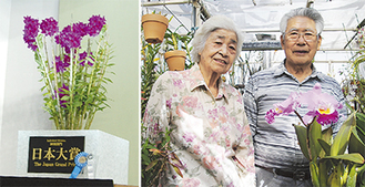 （左）日本大賞に輝いた作品＝永井さん提供（右）妻・良子さんの名を付けた「ミセス・リョウコ」を手にする永井さん