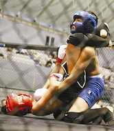 国内最大格闘技フェス